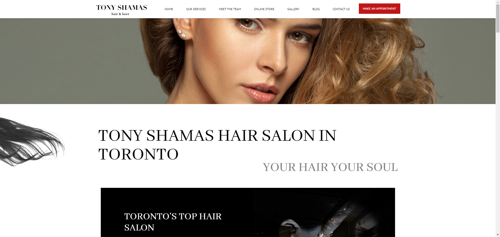 Tony Shamas Hair & Laser Salon